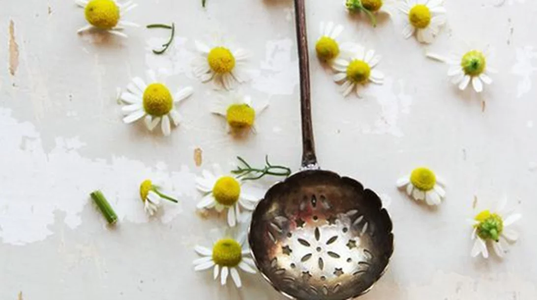 Μύρισε χαμομήλι: 8 beauty items που αποθεώνουν το αγαπημένο μας βότανο