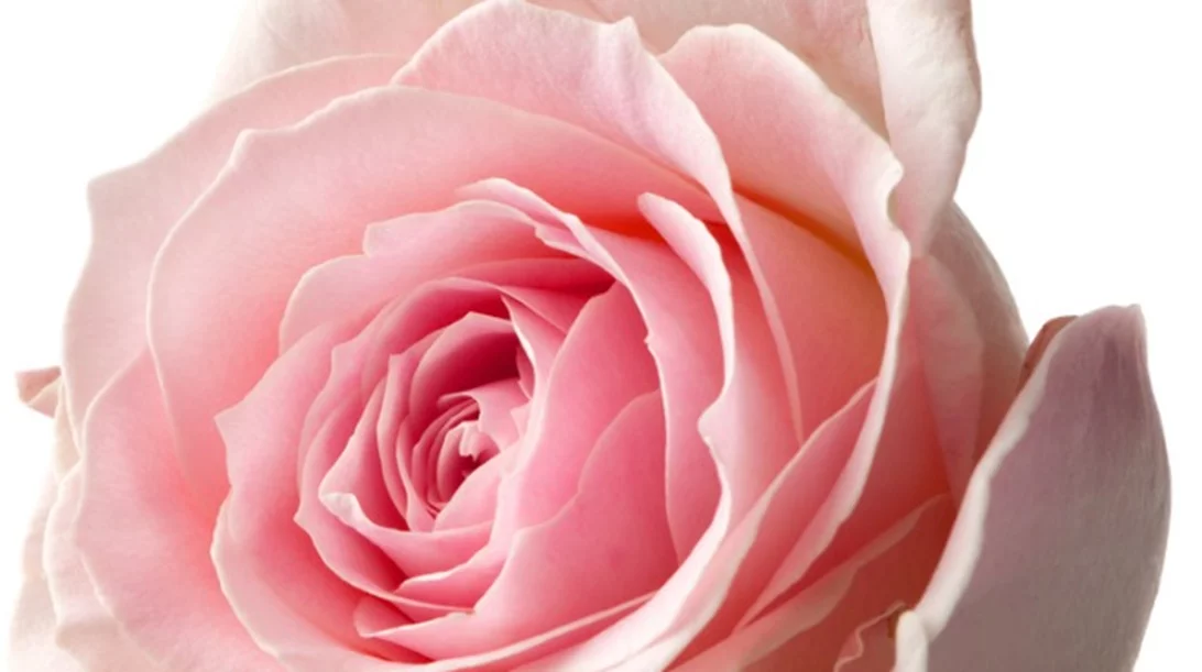 6 ερωτήσεις και απαντήσεις για το μαστογραφικό έλεγχο