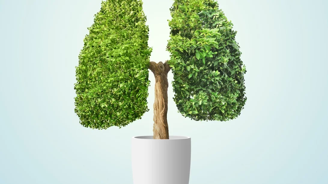 Καρκίνος του πνεύμονα: Τα συμπτώματα που πρέπει όλοι να γνωρίζουμε