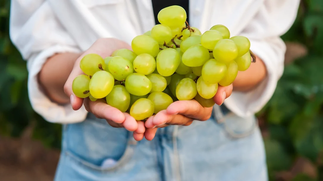 Δοκιμασμένες διατροφικές συνήθειες για καλύτερη υγεία από την editor