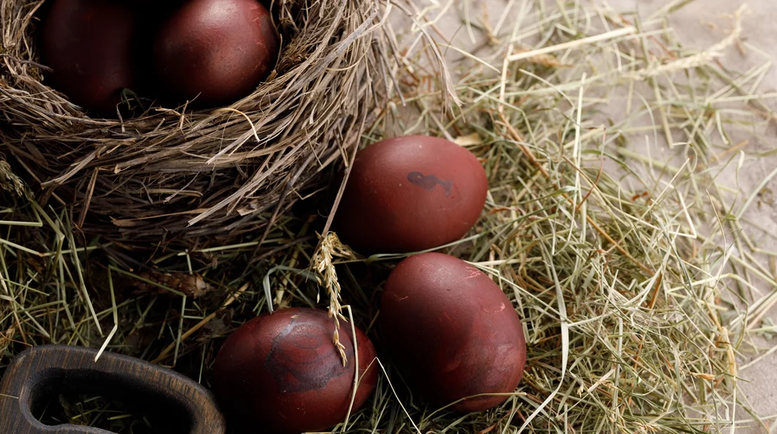 Πώς να βράσεις αυγά χωρίς να σπάσουν ή να ραγίσουν;