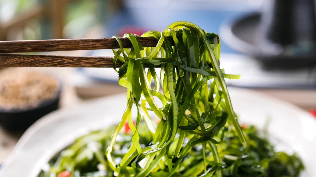 3 φορές περισσότερη πρωτεΐνη! Οι ειδικοί αναλύουν τον διατροφικό θησαυρό των φυκιών