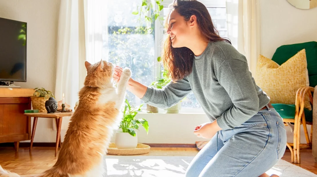 Κατοικίδια και ευτυχία: Μύθος ή πραγματικότητα; Τι αποκαλύπτει η νέα μελέτη