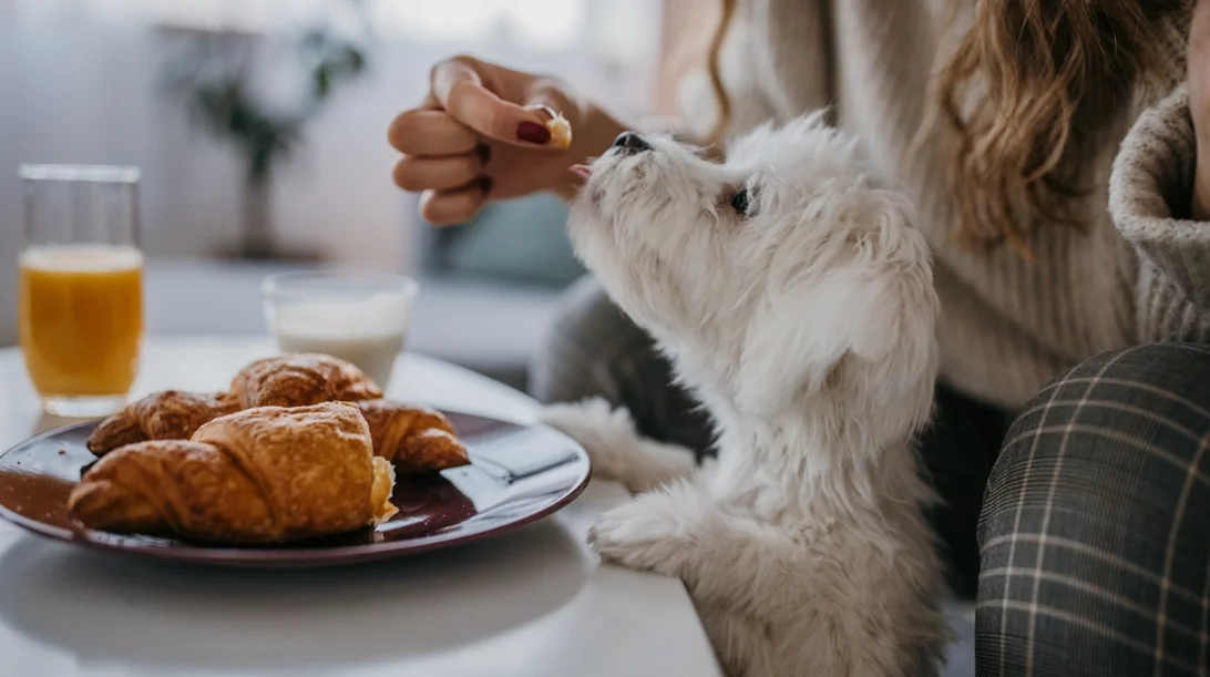 Πώς θα μειώσεις το food noise; 10 αποτελεσματικοί τρόποι από την ψυχολόγο