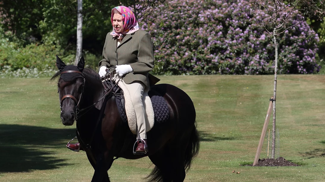 Βασίλισσα Ελισάβετ: Γιατί στενοχωρήθηκαμε περισσότερο στην κηδεία για τα κατοικίδιά της παρά για τα παιδιά της;