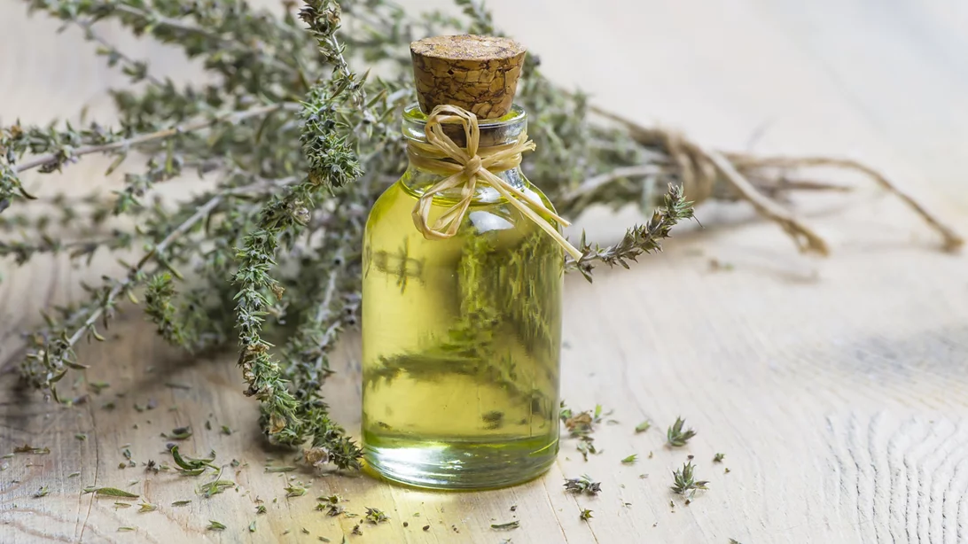 Ριγανέλαιο: Συνταγή για να το φτιάξεις στο σπίτι σου με 3 απλά βήματα