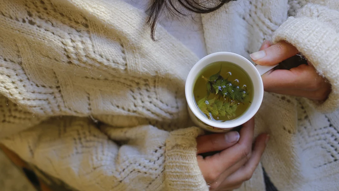 "Θηλυκά" βότανα: Η ευεργετική δύναμή τους στον κύκλο σου