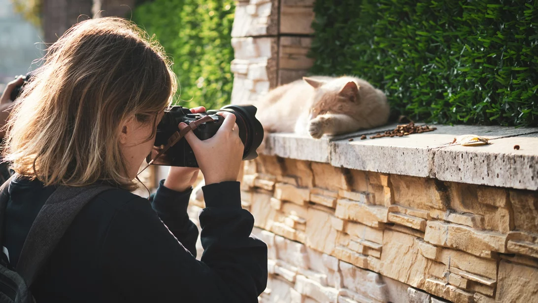 Ημερήσιες προβλέψεις 21/11: Ποια ζώδια ευνοούνται σήμερα;