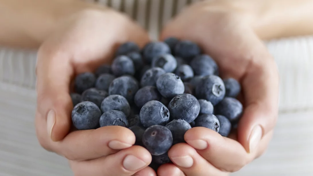 Τρως μύρτιλα; Δες πώς επηρεάζουν μνήμη, πίεση και αγγεία σε 12 εβδομάδες