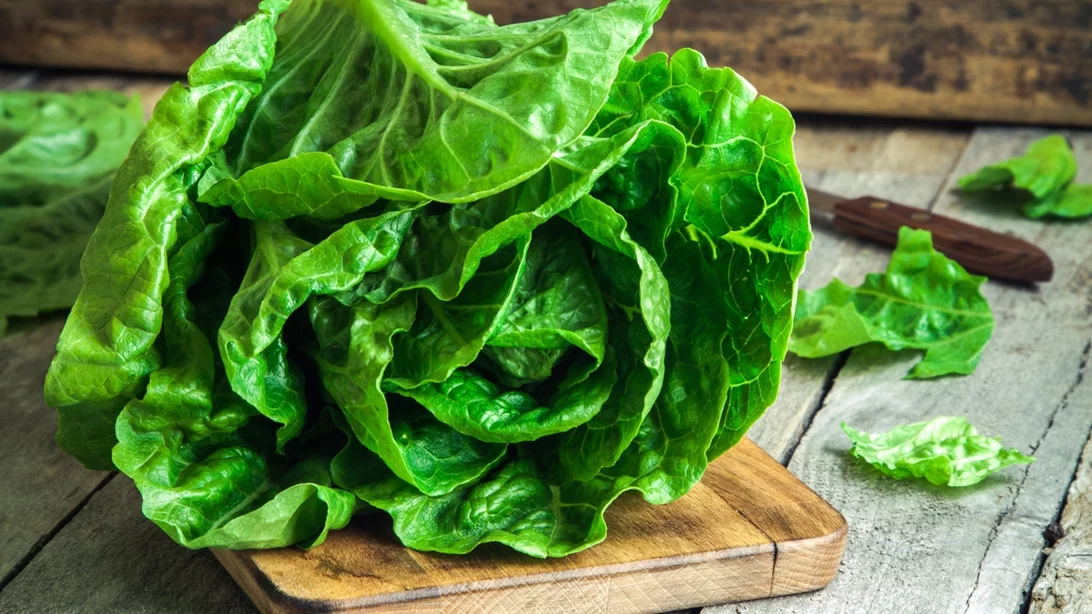 Μαρούλι, σπανάκι και σαλάτες σε σακουλάκι: Πόσο ασφαλή είναι, ακόμα κι αν τα πλύνεις;