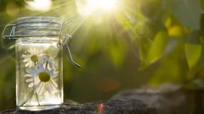 Ανθοϊάματα Bach: Μία εναλλακτική θεραπεία για θλίψη, άγχος, πόνο