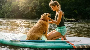 Θερμοπληξία σκύλου και γάτας: Πρόληψη και συμπτώματα