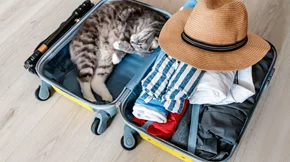 Φεύγεις για διακοπές; Η μέθοδος 5-4-3-2-1 θα σε βοηθήσει να φτιάξεις εύκολα τη βαλίτσα σου