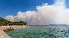 Πώς ο καπνός από τις πυρκαγιές επηρεάζει τον οργανισμό και πώς μπορείς να προστατευτείς;