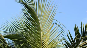 Τα ζώδια σήμερα 11/7: Ημερήσιες προβλέψεις για κάθε ζώδιο