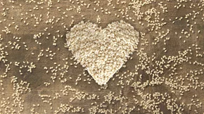 Πώς το σουσάμι βελτιώνει την υγεία σου | Τι λέει ο διαιτολόγος