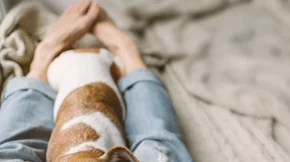 Η καθιστική ζωή είναι ασθένεια! Πάρε τα μέτρα σου