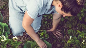 Κηπουρική: Έτσι θα ξεκινήσεις αν είσαι αρχάρια