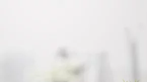 Καθαρό και υγιεινό σπίτι με αιθέρια έλαια (χωρίς χημικά καθαριστικά)