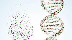 Ξέρεις τι είναι τα τελομερή; Να πώς θα κρατήσεις τα χρωμοσώματα σε καλή κατάσταση και θα επιβραδύνεις τη γήρανση