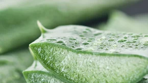 Σπιτικά γιατρικά για να απαλύνεις ένα μικρό κάψιμο στο δέρμα