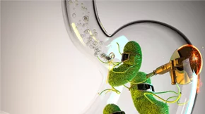 Τα προβιοτικά υποστηρίζουν την ανοσολογική μας αντίδραση