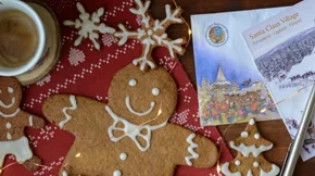 Vegan gingerbread cookies με μόνο 67 θερμίδες το ένα από τον Μάνο Δημητρούλη