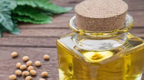 Έρευνα: Ένοχο το σογιέλαιο για γενετικές αλλαγές στον εγκέφαλο