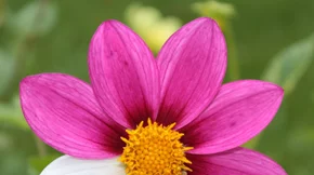 Σπάνια νοσήματα: Τα συμπτώματα, η (δύσκολη) διάγνωση και πού να απευθυνθείς για βοήθεια