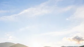 Τα «πικρά» βότανα του Flor·Essence δρουν συνεργικά για να  υποστηρίξουν την υγεία και το ανοσοποιητικό μας