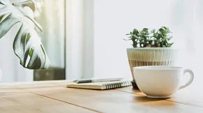 8 βότανα που βοηθούν στην απαλλαγή του οργανισμού από τις τοξίνες