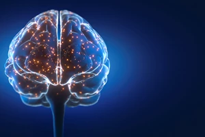 Brain games | 11 facts για τον εγκέφαλο - εικόνα 1