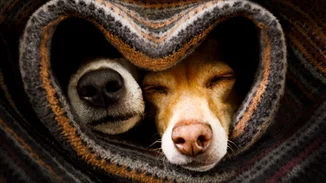 2 Φεβρουαρίου 2026: Ημερήσιες προβλέψεις από την Α.Λεούση