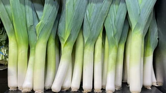 Πράσο: Το χειμερινό λαχανικό με υψηλή θρεπτική αξία – 10 οφέλη για την υγεία