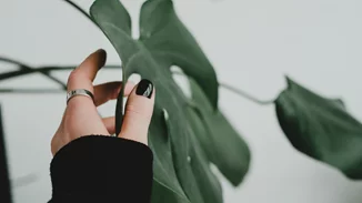 Ημερήσιες προβλέψεις 22/12: Ποια ζώδια ευνοούνται σήμερα;