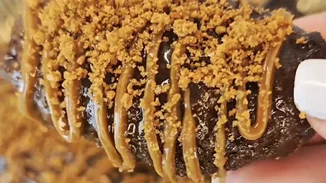 Η πιο γευστική συνταγή για τα να φτιάξεις τα viral μελομακάρονα Lotus