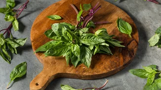 Το αγχολυτικό μυρωδικό που το βρίσκεις παντού!