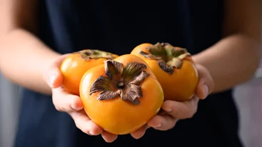 Φρούτο εποχής: Λωτός για σούπερ θρεπτικές ιδιότητες (plus: η συνταγή για σαλάτα!)