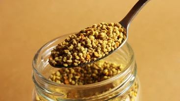 Γύρη μελισσών ή βασιλικός πολτός; Οι διαφορές τους και ποιο να επιλέξεις