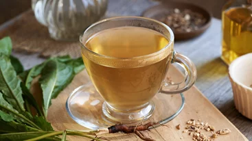 Κολλιτσίδα: Το φαρμακευτικό φυτό και η δύναμη της συνέργειας των βοτάνων