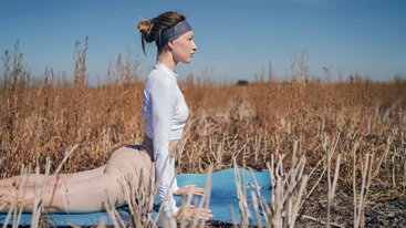 Οι 6 βασικές κατηγορίες των διατάσεων