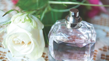 4 μεθυστικά αρώματα τριαντάφυλλου για το φθινόπωρο