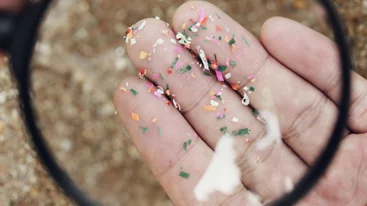 Αυτό το απλό λάθος γεμίζει το σώμα σου με 90.000 μικροπλαστικά τον χρόνο!