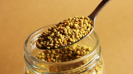 Γύρη μελισσών ή βασιλικός πολτός; Οι διαφορές τους και ποιο να επιλέξεις