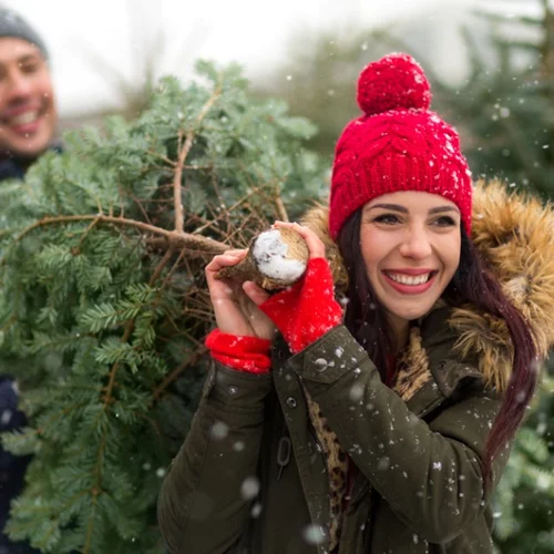 Έχεις χριστουγεννιάτικο δέντρο στο σπίτι; Είσαι πιο υγιής!