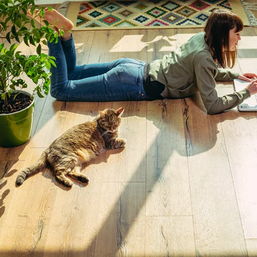 Το no1 φυτό που διώχνει τις κατσαρίδες μακριά - χωρίς χημικά