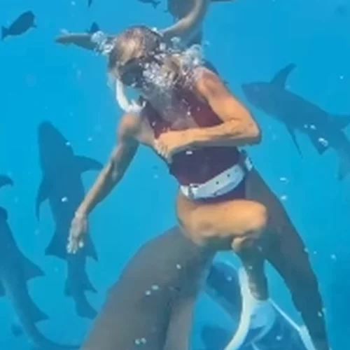 Viral το βίντεο βραζιλιάνας influencer από τις Μαλδίβες που τη δάγκωσε καρχαρίας - Ξεπέρασε τις 18 εκατ. προβολές