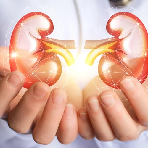 10 συμπτώματα που χτυπούν "καμπανάκι" για τα νεφρά μας