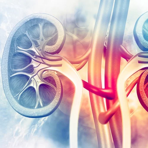 Εξέλιξη: Εγκρίθηκε νέα θεραπεία για τον πιο συχνό καρκίνο του νεφρού