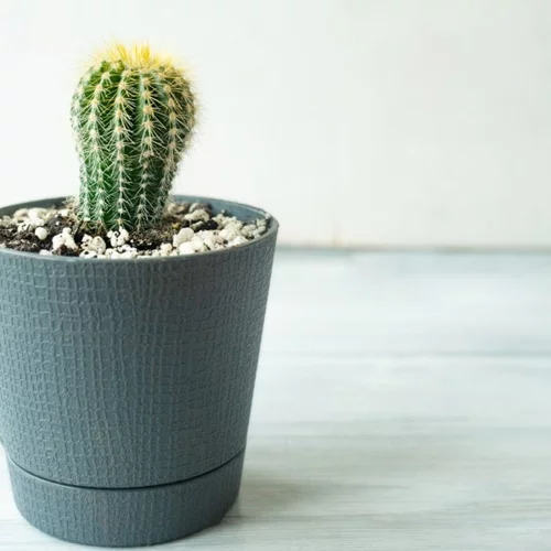 Ερεθισμένες αιμορροΐδες: Μήπως κάνουμε κάποιο λάθος στην τουαλέτα;